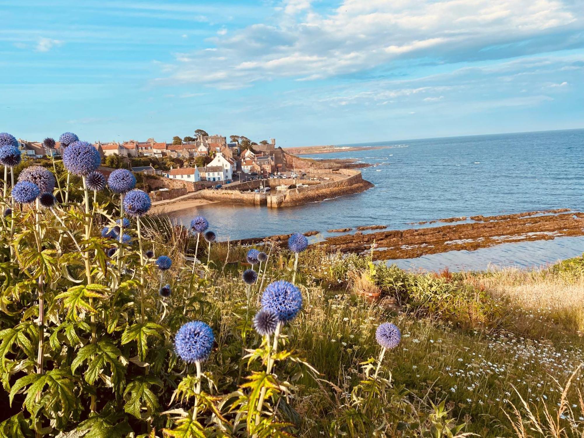 Seagull'S Rest Crail Exterior foto